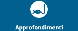 Federpesca e la Sicurezza